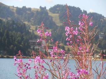 Apartamento Sundance Mountain Resort
