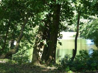 Apartamento Ferienwohnung Mit Brockenblick