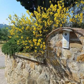 Apartamento Podere Piana