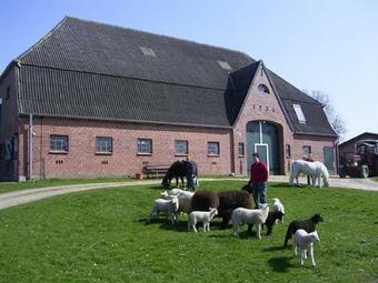 Apartamento Margarethenhof