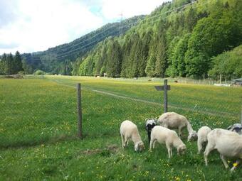 Apartamento Almwohnung Neuner