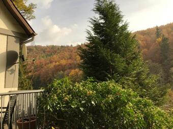 Hostal Gemuetliche Eule