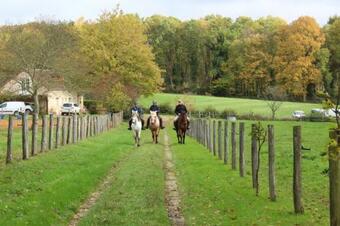 Chambre D'h�te �questre En Vall�e Du Loir - Elevage Des Rosiers
