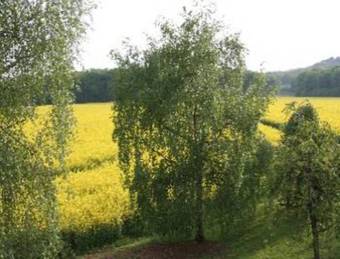 Bed & Breakfast Domaine De Gondrange