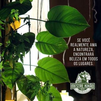 Albergue Pousada Mestre Kik�o