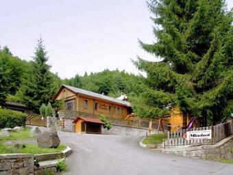 Ver fotos