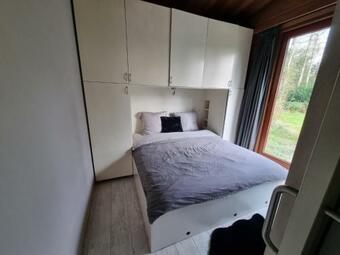 Lazy Lodge