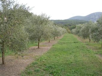 Le G�te