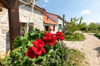Family Friendly House With A Swimming Pool Bogatic, Krka - 17168