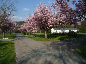 Motel Le Brissoneau