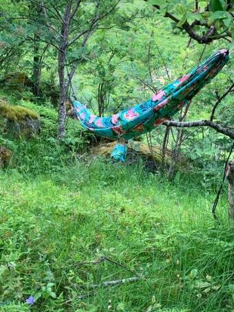 Glamping Lofoten