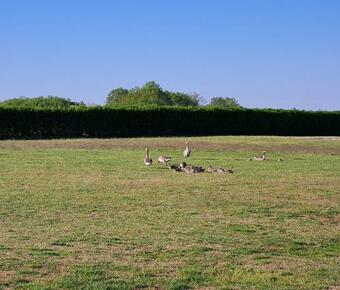 Apartment-76