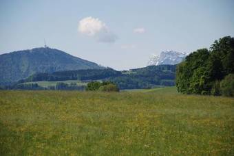Hotel Landhaus Brieger