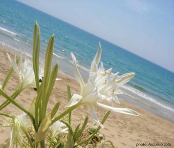 Hotel Villa Fiori Beach