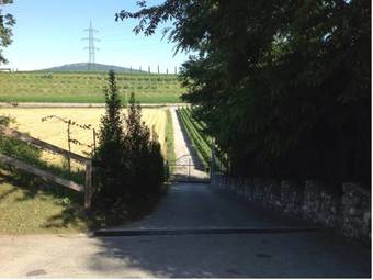 Villa Pasini B&B