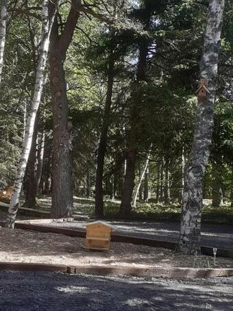 Chalet Libellule