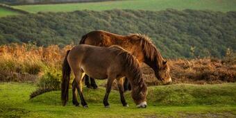 Hostal ** Special Offer ** Half Price - Book Your Double Room With Us Now