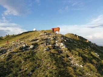 Ver fotos
