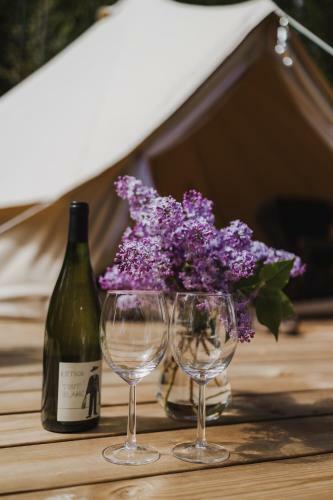 Lyxig Glamping I Naturreservat Ink. Frukost