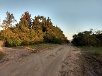 Ver fotos