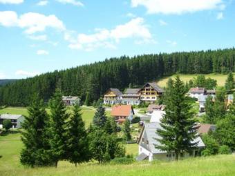 Waldhotel Auerhahn