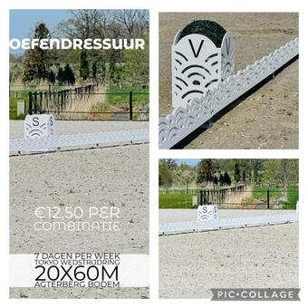Ver fotos