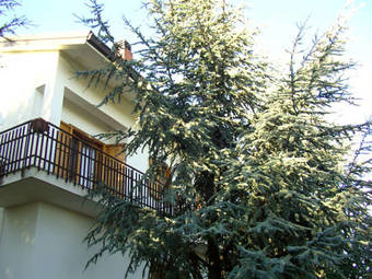 Villa Caterina B&B