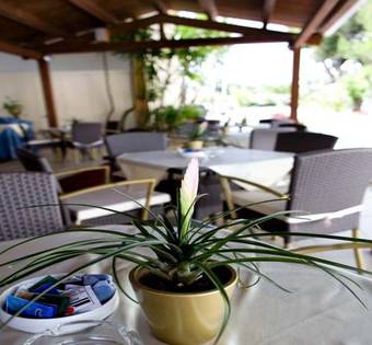Hotel Resort Villa