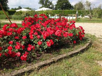 Apartamento Country House Podere Le Rane Felici