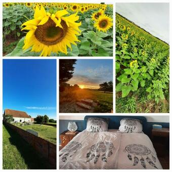Bed & Breakfast Notrevillage La Salamandre