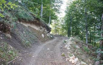 Specchione
