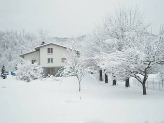 Hostal I Pettirossi