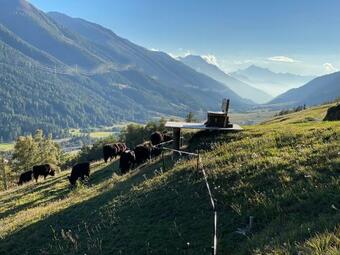 Naturlodge Gadestatt