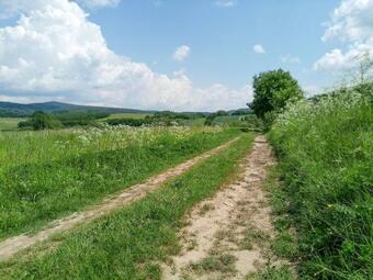 Apartamento Karol�wka Nad Os?aw?