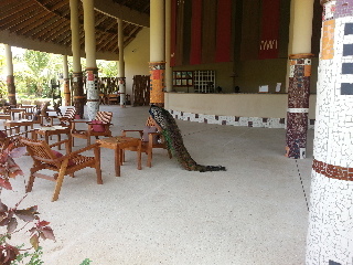 Royal Saly