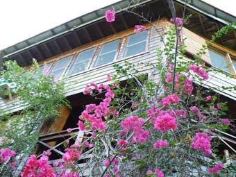 Roatan Bed & Breakfast Apartments