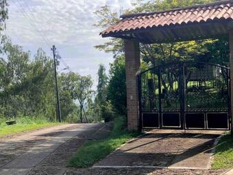 Aventurina