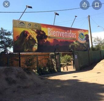 Ver fotos