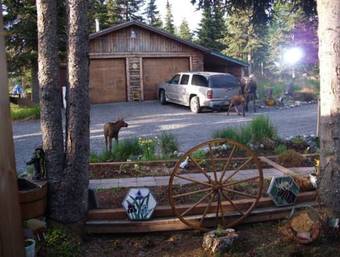 Cabins On The Bluff