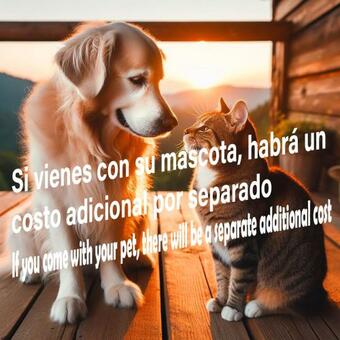 Ver fotos