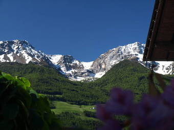 Hotel Feldg�rtenhof