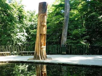Ver fotos