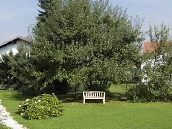 Hostal G�stehaus Gamsei