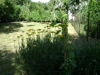 Holiday Home Igal 1