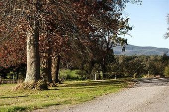 Tallawarra B&B