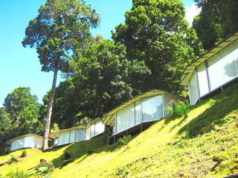 Bed & Breakfast Dantica Cloud Forest Lodge