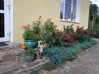 Agroturismo Green House