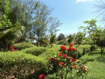 Hotel Lotus Resort