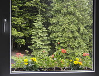Hotel Gradl