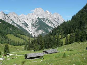 Hostal Gasthof W�rndlhof